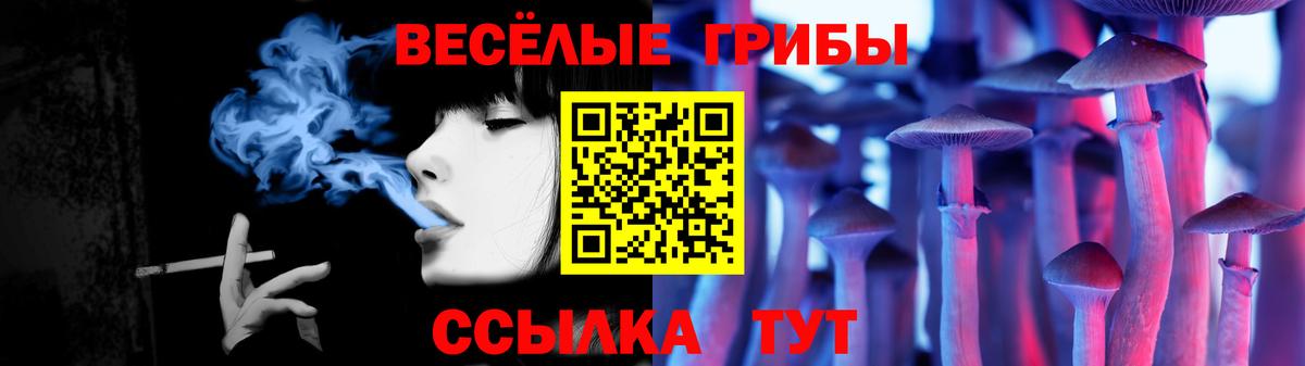 Псилоцибиновые грибы мицелий Еманжелинск
